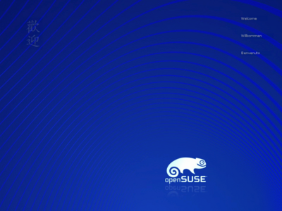 Erster Installtionsscreen